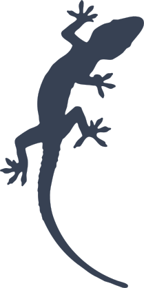 Cute Lizard Gecko Sticker