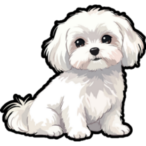 Cute Maltese Black Sticker