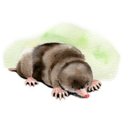Cute Mole Garden Sticker