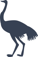 Cute Ostrich Bird Sticker