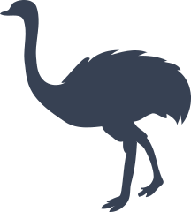 Cute Ostrich Sticker