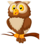Cute Owl Cartoon Sticker