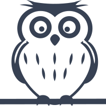 Cute Owl On A Branch Sticker