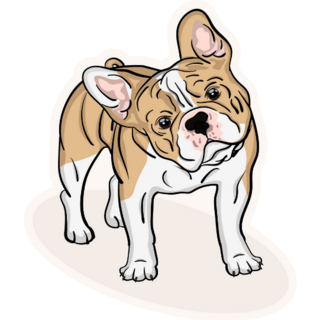 Cute Pet French Bulldog Smirk Sticker