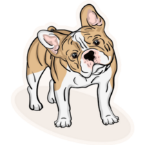 Cute Pet French Bulldog Smirk Sticker