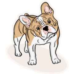 Cute Pet French Bulldog Smirk Sticker