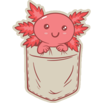 Cute Pocket Axolotl Sticker