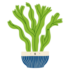 Cute Potted Platycerium Fern Plant Sticker
