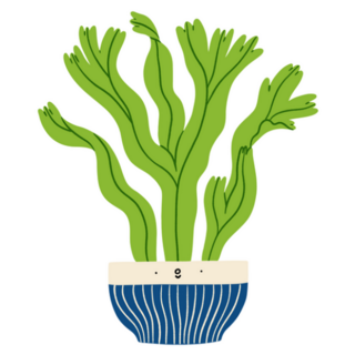 Cute Potted Platycerium Fern Plant Sticker