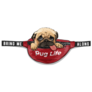Cute Pug Life Sticker