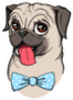 Cute Pug with Blue Bow Tie Sticker