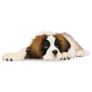 Cute Puppy Bernard Sticker