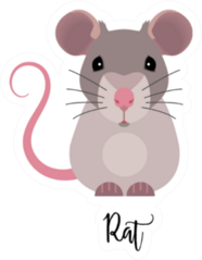 Cute Rat Cartoon With Lettering Sticker