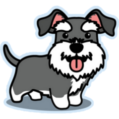 Cute Schnauzer Blue Sticker