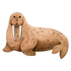 Cute Sea Walrus Watercolor Sticker