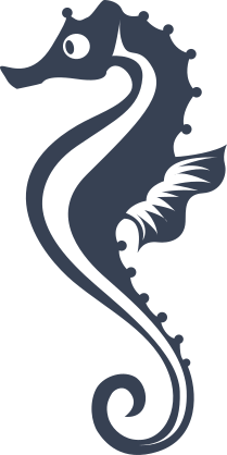 Cute Seahorse Sticker