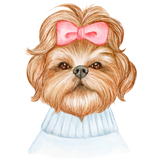 Cute Shih Tzu Bow Sticker