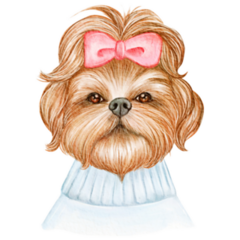 Cute Shih Tzu Bow Sticker
