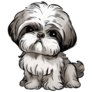 Cute Shih Tzu Sticker