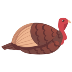 Cute Simple Turkey Bird Sticker