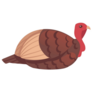 Cute Simple Turkey Bird Sticker
