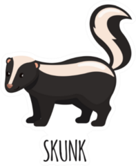 Cute Skunk In Flat Style Lettering Sticker