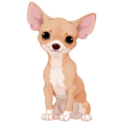 Cute Smile Chihuahua Sticker