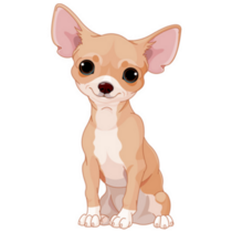 Cute Smile Chihuahua Sticker