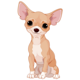 Cute Smile Chihuahua Sticker
