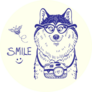 Cute Smile Husky Sticker