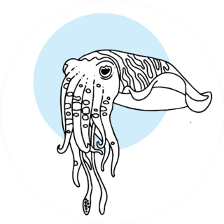 Cute Squid Cartoon On Blue Circle Sticker