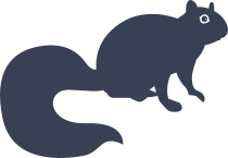 Cute Squirrel Sticker