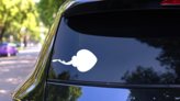 Cute Stingray Manta Ray Sticker on a Rear Car Window (New) example