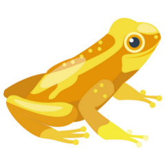 Cute Tropical Yellow Frog Sticker