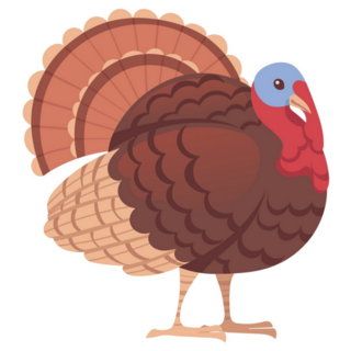 Cute Turkey Bird Cartoon Sticker