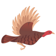 Cute Turkey Bird Flying Sticker