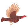 Cute Turkey Bird Flying Sticker