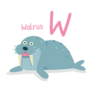 Cute W For Walrus Sticker