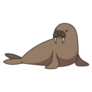Cute Walrus Illustration Sticker