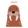 Cute Walrus Labeled Sticker