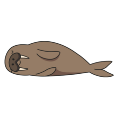 Cute Walrus Laying Down Sticker