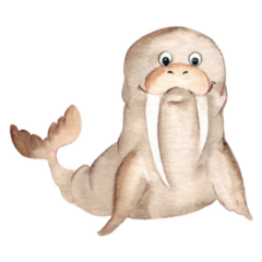 Cute Walrus Watercolor Sticker
