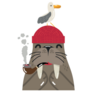  Cute Walrus With Seagull Sticker