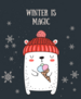 Cute Winter Bear Sticker