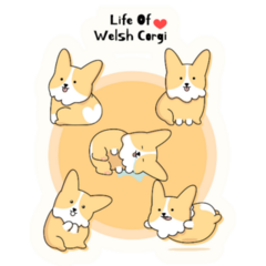 Cutest Welsh Corgi Daily Sticler