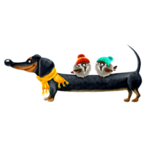 Dachshund And Two Sparrows Sticker