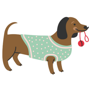 Dachshund & Ball Sticker