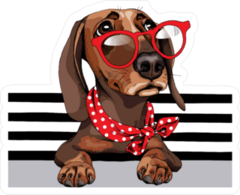 Dachshund Dog In A Red Sunglasses Stickers
