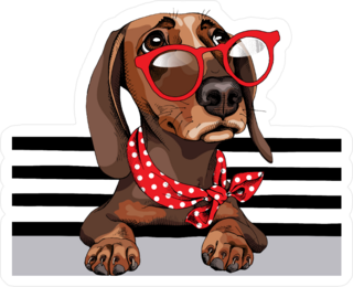 Dachshund Dog In A Red Sunglasses Stickers