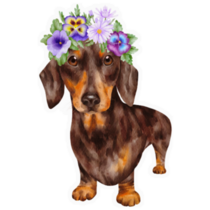 Dachshund Flower Crown Sticker